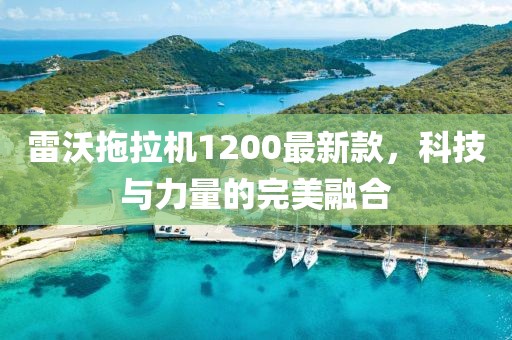 雷沃拖拉機(jī)1200最新款，科技與力量的完美融合
