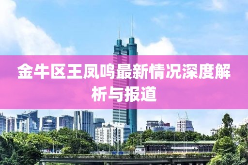 金牛區(qū)王鳳鳴最新情況深度解析與報道