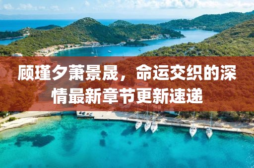 顧瑾夕蕭景晟，命運(yùn)交織的深情最新章節(jié)更新速遞