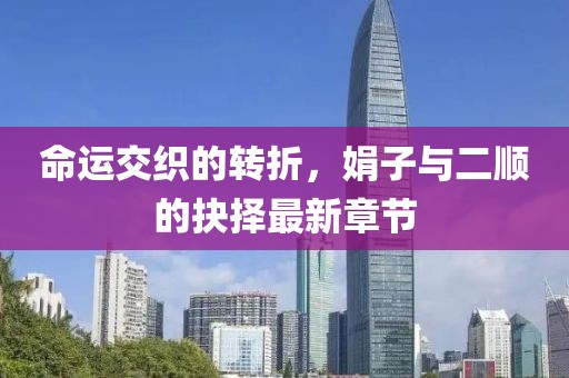 命運交織的轉(zhuǎn)折，娟子與二順的抉擇最新章節(jié)