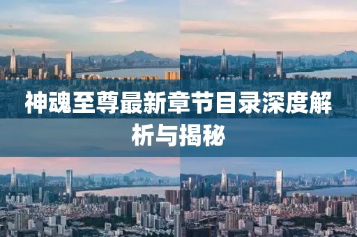 神魂至尊最新章節(jié)目錄深度解析與揭秘