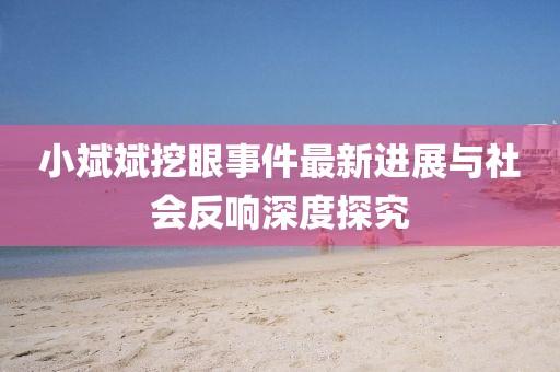 小斌斌挖眼事件最新進(jìn)展與社會(huì)反響深度探究