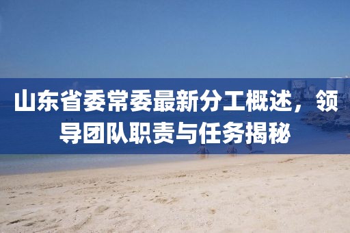 山東省委常委最新分工概述，領(lǐng)導(dǎo)團(tuán)隊職責(zé)與任務(wù)揭秘