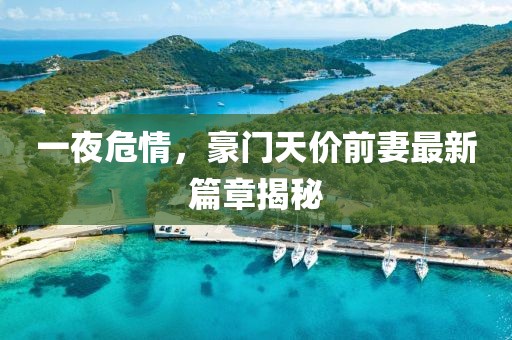 一夜危情，豪門天價前妻最新篇章揭秘
