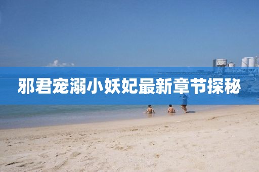 邪君寵溺小妖妃最新章節(jié)探秘