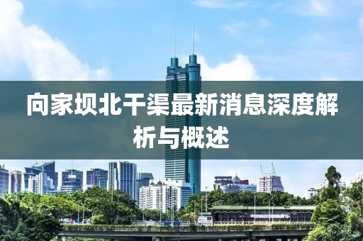 向家壩北干渠最新消息深度解析與概述