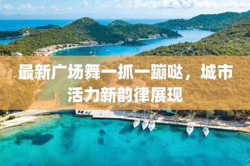 最新廣場舞一抓一蹦噠，城市活力新韻律展現(xiàn)