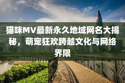 貓咪MV最新永久地域網名大揭秘，萌寵狂歡跨越文化與網絡界限