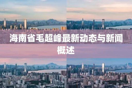 海南省毛超峰最新動態(tài)與新聞概述