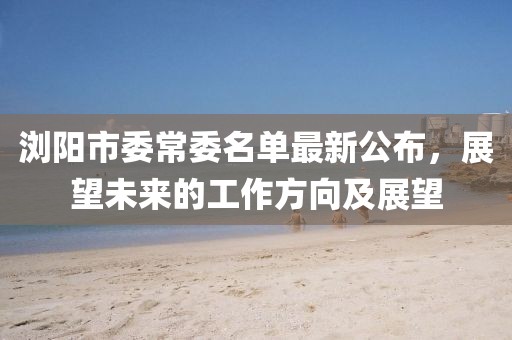 瀏陽(yáng)市委常委名單最新公布，展望未來(lái)的工作方向及展望