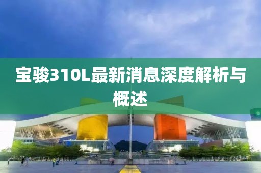寶駿310L最新消息深度解析與概述