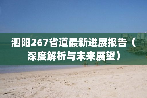 泗陽267省道最新進(jìn)展報(bào)告（深度解析與未來展望）