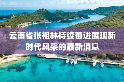 云南省張祖林持續(xù)奮進(jìn)展現(xiàn)新時(shí)代風(fēng)采的最新消息
