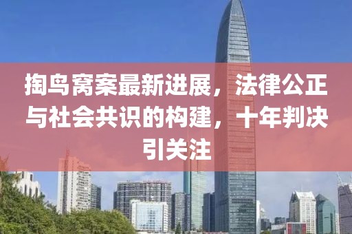 掏鳥窩案最新進展，法律公正與社會共識的構(gòu)建，十年判決引關(guān)注