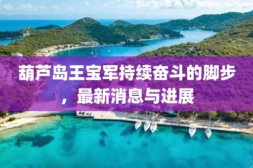 葫蘆島王寶軍持續(xù)奮斗的腳步，最新消息與進展