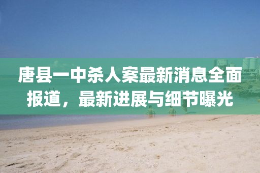 唐縣一中殺人案最新消息全面報(bào)道，最新進(jìn)展與細(xì)節(jié)曝光