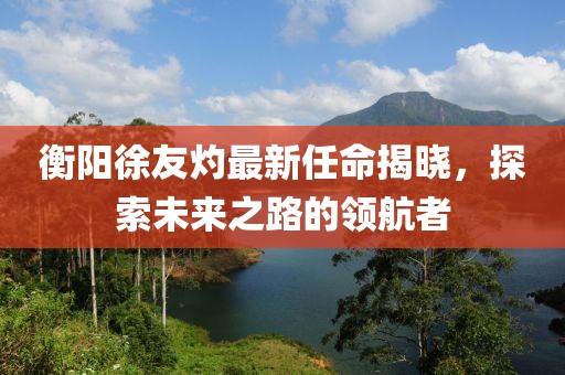 衡陽徐友灼最新任命揭曉，探索未來之路的領(lǐng)航者
