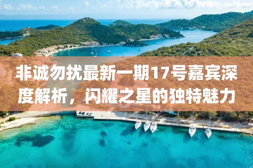 非誠勿擾最新一期17號嘉賓深度解析，閃耀之星的獨(dú)特魅力