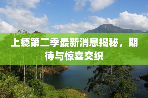 上癮第二季最新消息揭秘，期待與驚喜交織
