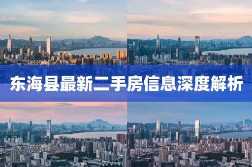 東?？h最新二手房信息深度解析
