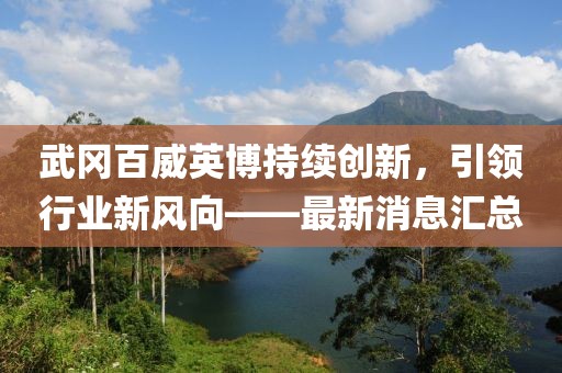 武岡百威英博持續(xù)創(chuàng)新，引領行業(yè)新風向——最新消息匯總