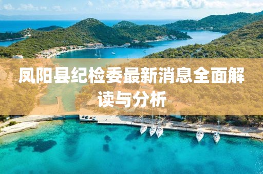 鳳陽縣紀(jì)檢委最新消息全面解讀與分析