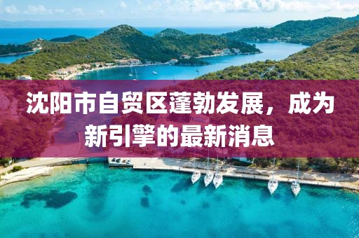 沈陽市自貿(mào)區(qū)蓬勃發(fā)展，成為新引擎的最新消息