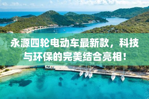 永源四輪電動車最新款，科技與環(huán)保的完美結合亮相！