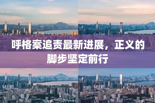 呼格案追責(zé)最新進(jìn)展，正義的腳步堅(jiān)定前行