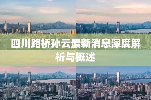 四川路橋?qū)O云最新消息深度解析與概述