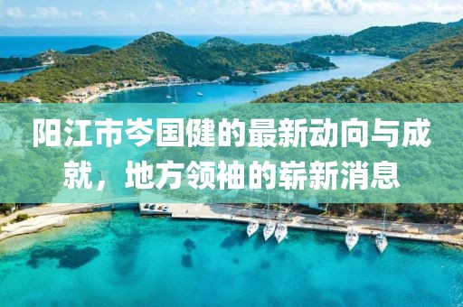 陽(yáng)江市岑國(guó)健的最新動(dòng)向與成就，地方領(lǐng)袖的嶄新消息
