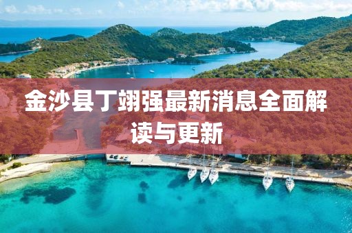 金沙縣丁翊強(qiáng)最新消息全面解讀與更新
