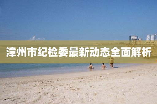 漳州市紀(jì)檢委最新動態(tài)全面解析