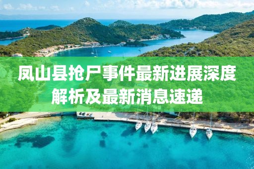 鳳山縣搶尸事件最新進展深度解析及最新消息速遞