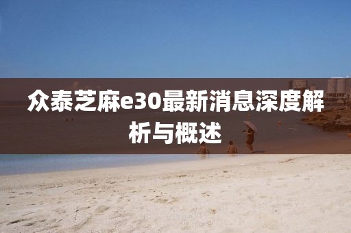 眾泰芝麻e30最新消息深度解析與概述