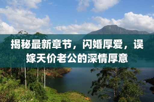 揭秘最新章節(jié)，閃婚厚愛，誤嫁天價老公的深情厚意