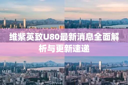 維紫英致U80最新消息全面解析與更新速遞