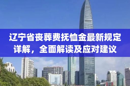 遼寧省喪葬費(fèi)撫恤金最新規(guī)定詳解，全面解讀及應(yīng)對建議
