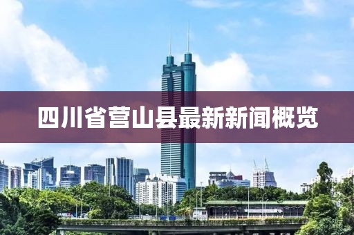 四川省營山縣最新新聞概覽