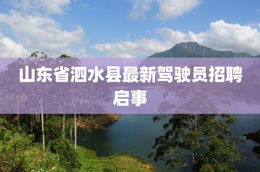 山東省泗水縣最新駕駛員招聘啟事