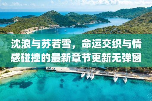 沈浪與蘇若雪，命運交織與情感碰撞的最新章節(jié)更新無彈窗