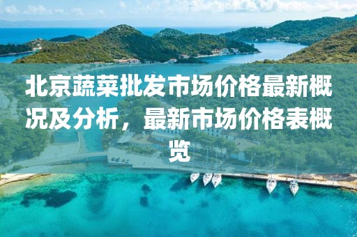北京蔬菜批發(fā)市場價格最新概況及分析，最新市場價格表概覽