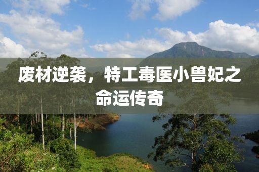 廢材逆襲，特工毒醫(yī)小獸妃之命運(yùn)傳奇