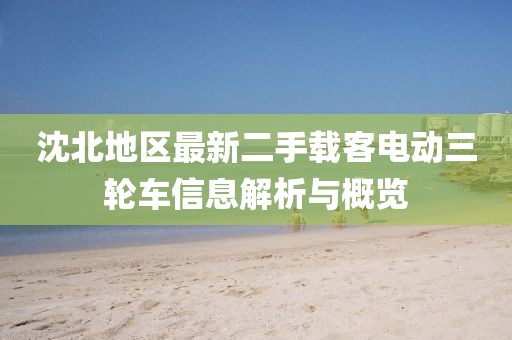 沈北地區(qū)最新二手載客電動(dòng)三輪車信息解析與概覽