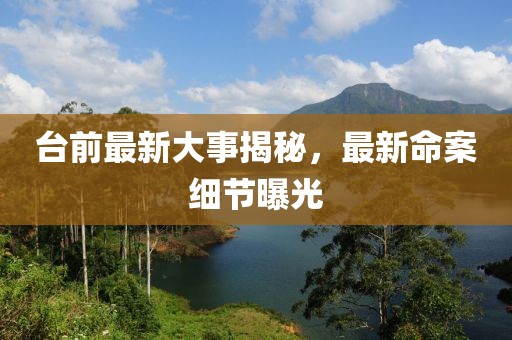 臺前最新大事揭秘，最新命案細節(jié)曝光