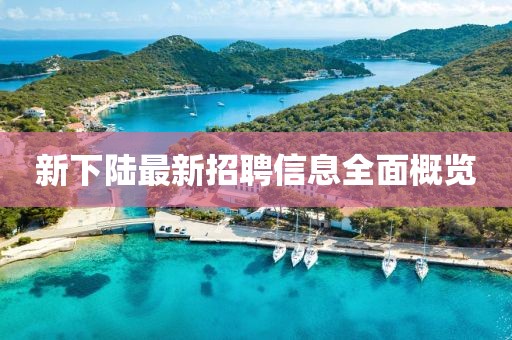 新下陸最新招聘信息全面概覽