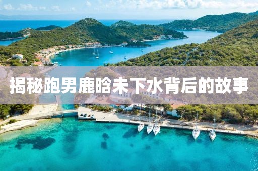 揭秘跑男鹿晗未下水背后的故事