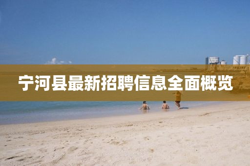 寧河縣最新招聘信息全面概覽