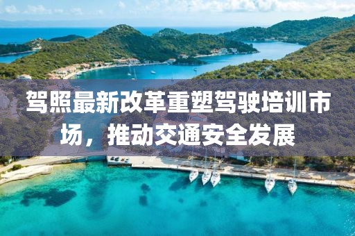 駕照最新改革重塑駕駛培訓(xùn)市場(chǎng)，推動(dòng)交通安全發(fā)展
