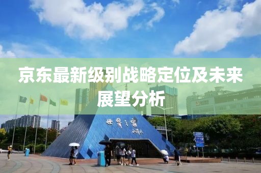 京東最新級(jí)別戰(zhàn)略定位及未來展望分析